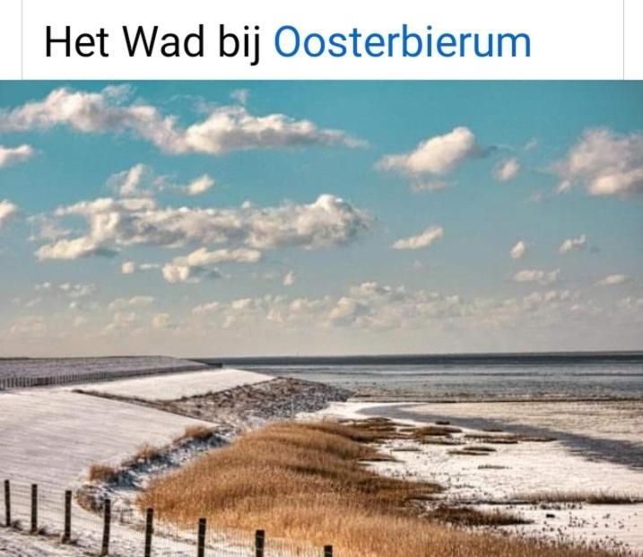 4-Persoons Vakantiehuisje Simmerwille Tzummarum Eksteriør bilde